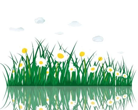 Meadow with reflection 스톡 일러스트