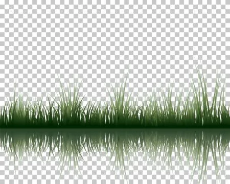 Meadow with reflection Stock Illustration