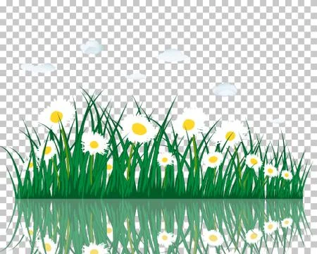 Meadow with reflection Stock Illustration