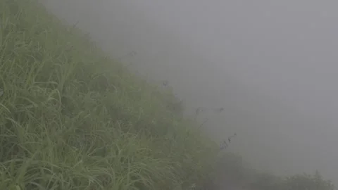 Meadow Ridge Slope in Mist Stock-Footage 343665204