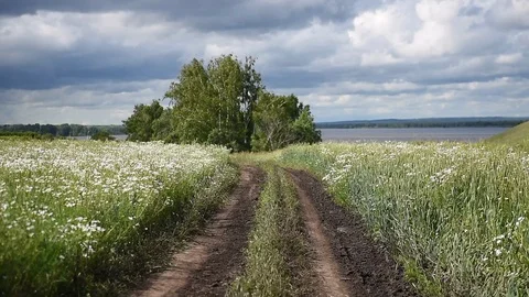 Meadow. Russia Stock Footage 88072007