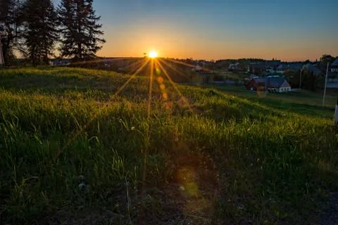 Meadow with a setting sun in the background Foto stock