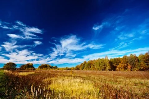 Meadow sky and trees Stock Photos