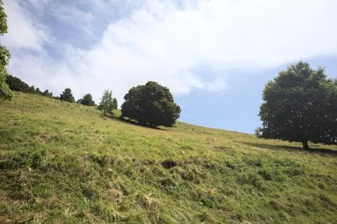 Meadow on a slope Stock Photos