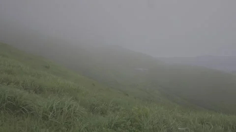 Meadow Slope Shrouded in Sea of Clouds Stock-Footage 343665853