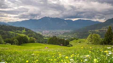 Meadow sommer germany 動画素材 147520132