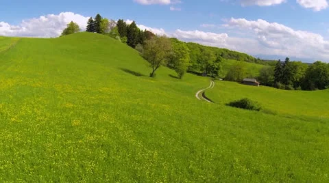 Meadow in the spring Stock Footage 23207428