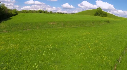 Meadow in the spring 動画素材 23207636