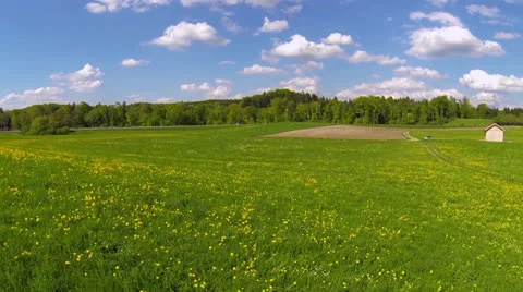 Meadow in the spring Video stock 23209519