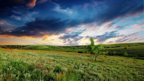 Meadow spring sunset Stock Footage 80420132