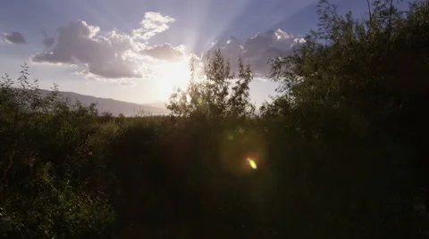 Meadow Sunrise Stock Footage 66393562