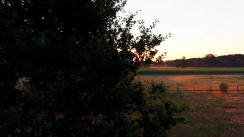Meadow at sunrise with lateral hedgerow framing Stock Footage 340921883