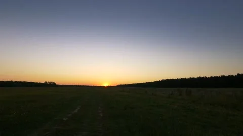 Meadow in sunset light. Stock Footage 68345558