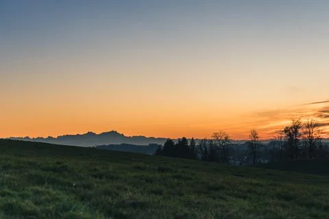 Meadow Sunset Stock Photos