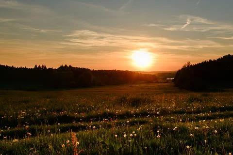 Meadow at sunset Stock Photos