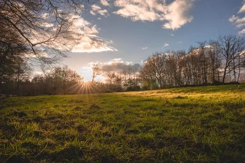 Meadow at sunset Stock Photos