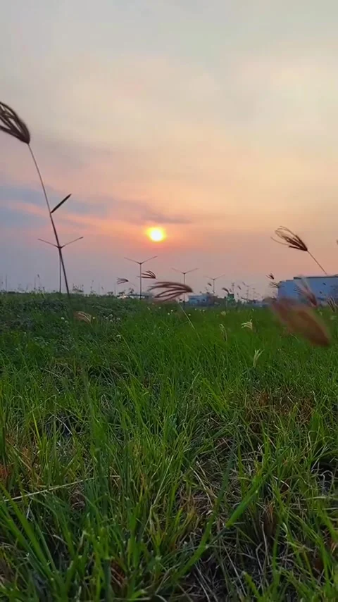 Meadow Sunset Windmill Landscape Stock Footage 341629376