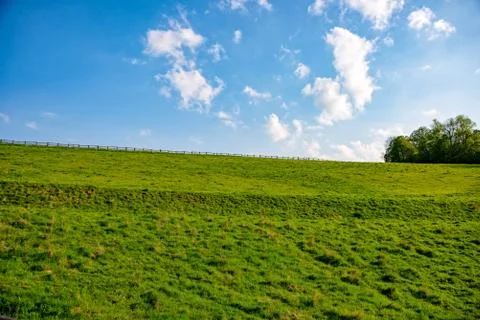 Meadow with sunshine Stock Photos
