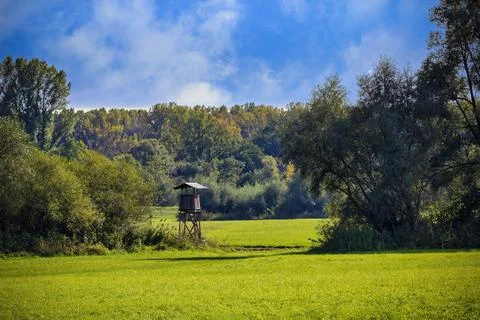 Meadow surrounded by forest with hide Stock Photos