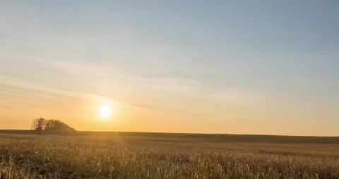 Meadow timelapse at the autumn sunset time. Wild nature and rural grass field Stock Footage 288936102