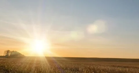 Meadow timelapse at the autumn sunset time. Wild nature and rural grass field Stock Footage 310290722