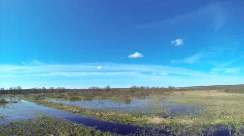 Meadow timelapse Stock Footage 49710929
