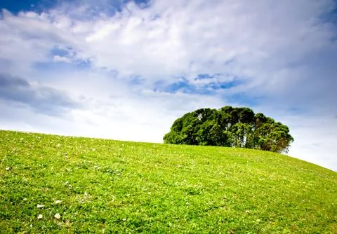 Meadow, tree and clouds Stock Photos