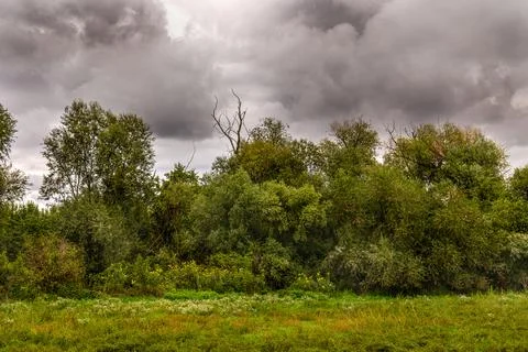 Meadow, trees and bushes with a dramatic stormy sky. Climate change concept. Stock Photos