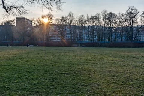 Meadow with trees and sun in the background Stock Photos