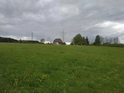 Meadow with trees on rainy and cloudy day Stock Photos