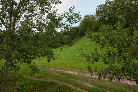 A meadow with trees under a sky covered with clouds Stock Photos