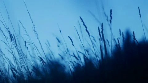 Meadow in Tylicz. Video stock 98804595