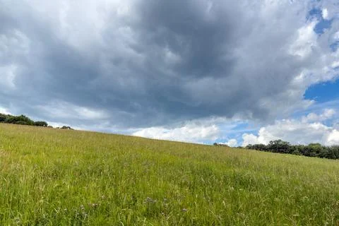 Meadow Under Stormy Clouds 스톡 사진