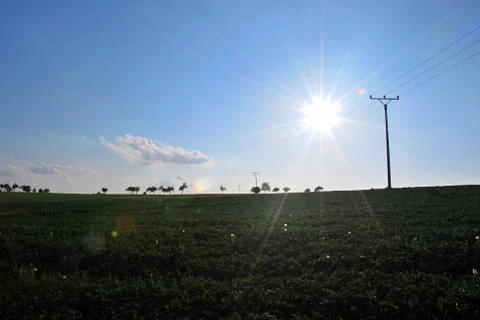 Meadow under sun. Stockfoto's