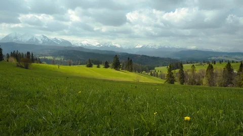 Meadow with a view of Tatras mountains Stock Footage 109391316