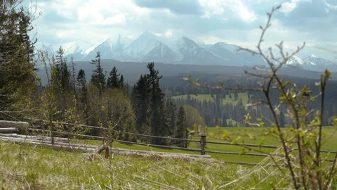 Meadow with a view of Tatras mountains Stock Footage 109391336