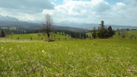 Meadow with a view of Tatras mountains Stock Footage 109391368
