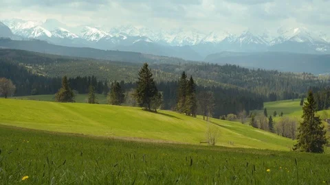 Meadow with a view of Tatras mountains Stock Footage 109391420