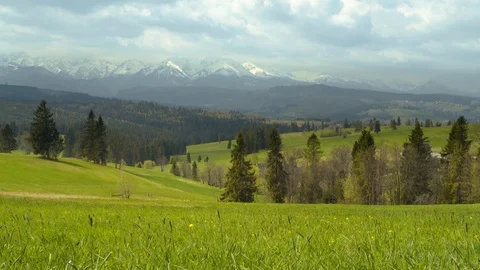 Meadow with a view of Tatras mountains Stock Footage 109391422