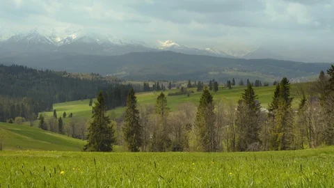 Meadow with a view of Tatras mountains Stock Footage 109391465