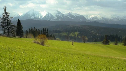 Meadow with a view of Tatras mountains Stock Footage 109391511