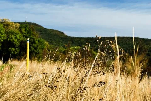 Meadow views Stock Photos