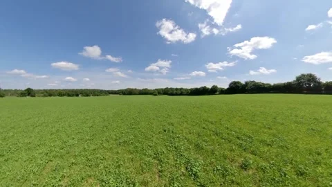 Meadow Walk over Stock Footage 279483320