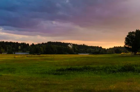 Meadow west trees Stock Photos