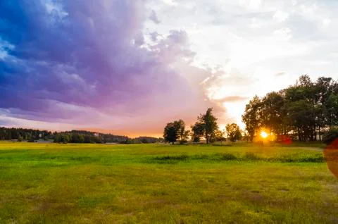 Meadow west trees Stock Photos