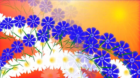 Meadow of wildflowers.  Animation. Loop able File. Video stock 37735853