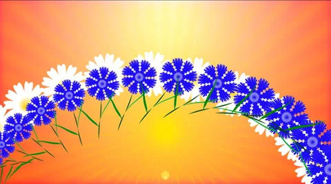 Meadow of wildflowers.  Animation. Loop able File. 스톡 동영상 37738717