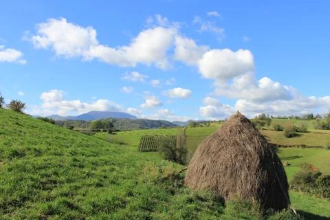 Meadow at willage Stock Photos