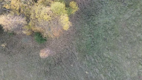 Meadow in the wind Stock Footage 166410194