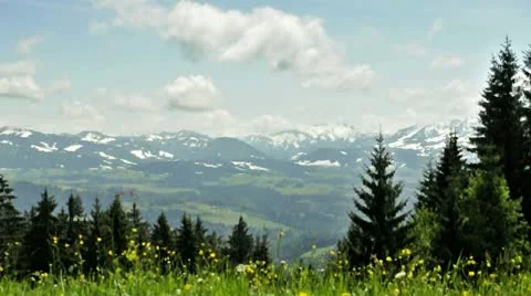 Meadow in wind with view to the alps in Austria Stock Footage 11460736